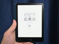 ビビりの起業法　表紙画像